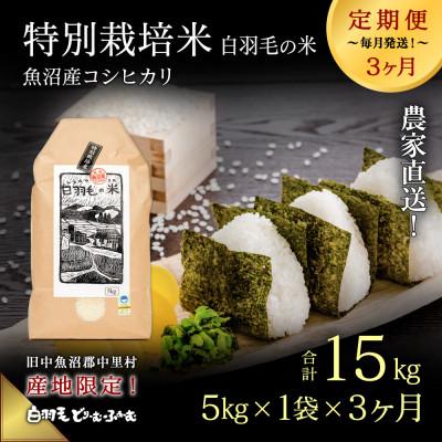 ふるさと納税 十日町市 【毎月定期便】農家直送!魚沼産コシヒカリ特別栽培 精米(5kg×1袋)全3回