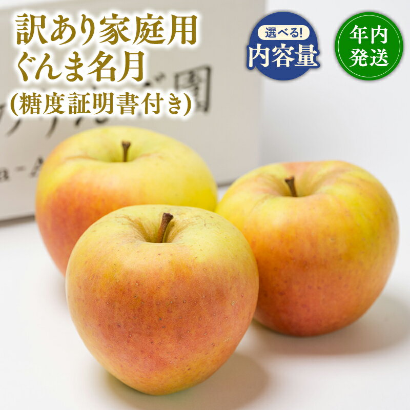 【ふるさと納税】≪内容量が選べる≫年内発送 青森県産 訳あり ぐんま名月 （糖度証明書付き） 約3kg 約5kg【青森県 平川市 那由多のりんご園】家庭用 青森 青森県産 平川 りんご リンゴ 林檎 くだもの 果物 フルーツ 名月 レビューキャンペーン