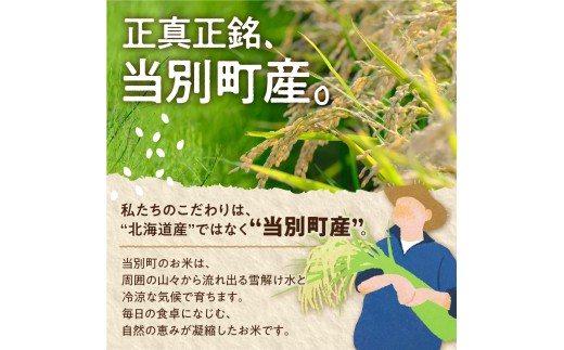 野口農園ななつぼし5kg【3ヶ月定期便】 | お米 北海道産 産地直送 ブランド米 野口農園 国産 精米 白米 米 北海道 当別町