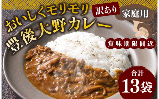 015-1142 【訳あり】【賞味期限間近】おいしくモリモリ 豊後大野 カレー 家庭用 13袋 計2.3kg