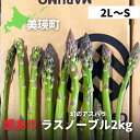 【ふるさと納税】【予約受付！】令和7年産！【訳あり】幻のアスパラ　本山農場のラスノーブル（グリーンアスパラ）2kg（2L～Sサイズ）[015-80]