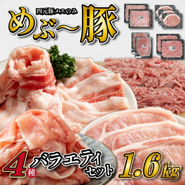 【ふるさと納税】めぶ〜豚　 4種バラエティパック 計1.6kg 豚肉 豚 豚バラ ロース とんかつ用 切り落とし こま切れ ミンチ 小分け セット 冷凍 国産豚 肉 お肉 ふるさと 人気 おすすめ 贈答 ギフト お裾分け プレゼント 精肉 宮崎県 小林市 送料無料