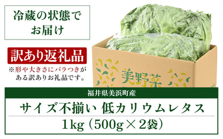 【訳あり】低カリウムレタス 1kg (500g×2袋) 不揃い クリーンルーム栽培 無農薬 鮮度長持ち 【野菜 生野菜 レタス サラダ 水耕栽培 洗わず食べられる 時短 付け合わせ 規格外】レタス フ