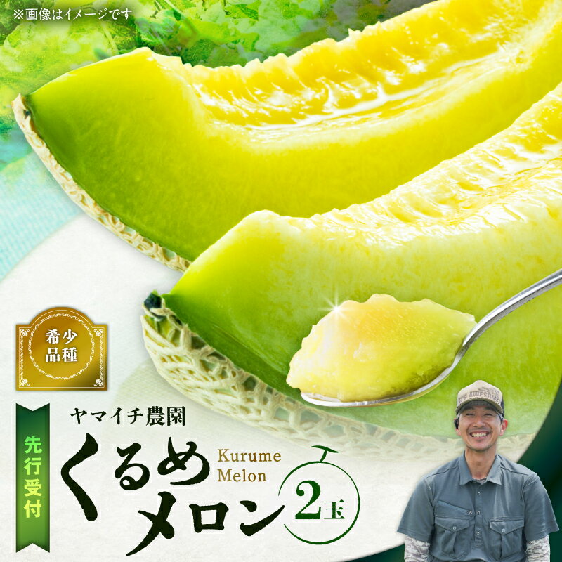 【ふるさと納税】 三浦農家直送 くるめメロン 2個入り メロン 緑肉 フルーツ 果物 果実 期間限定 数量限定 限定 甘い あまい 美味しい おいしい 採れたて 直送 めろん 旬の果物 贈答 ヤマイチ農園 ふるさと納税 神奈川 三浦市 おすすめ ランキング プレゼント ギフト