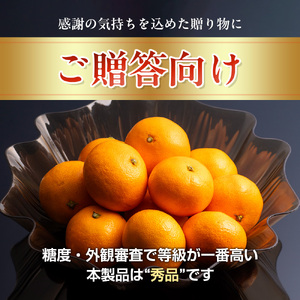 みかん 温州みかん 約5kg （S～Lサイズ） 秀品 数量限定 期間限定 柑橘 蜜柑 mikan フルーツ 果物 くだもの 国産 ブランド 贈答用 贈答品 贈答 ギフト 三重県 伊勢 志摩 南伊勢町 