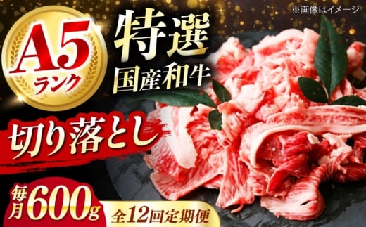 【全12回定期便】 和牛 国産和牛切落し 600ｇ 肉 お肉 国産 和牛 牛肉 切り落とし 冷凍 ギフト ストック A5ランク 国産和牛切落し 600ｇ 肉 お肉 国産 和牛 牛肉 切り落とし 冷凍 ギフト ストック A5ランク 贈答 ギフト 贈り物 人気 定番 おすすめ 定期便 ふるさと納税 特産品 産地直送 取り寄せ お取り寄せ 大阪府高槻市/株式会社ミートモリタ屋 [AOAI025]