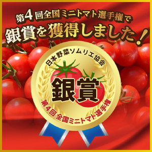 フルーツトマト「FUJITOMA」ボックスセット ミニトマト 野菜 フルーツ 高糖度 