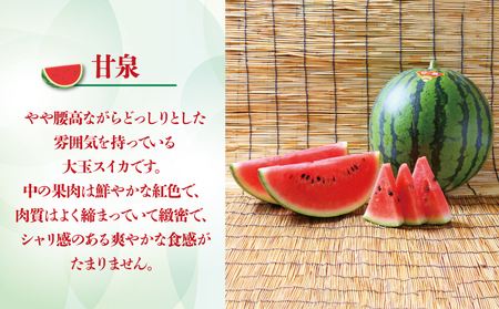 えひめ 山すいか 7kg ～ 8kg 一玉 Lサイズ フレッシュつちやま 西瓜 すいか 大玉 大玉西瓜 大玉スイカ 祭ばやし 甘泉 品種 おまかせ 果物 フルーツ 期間限定 旬 産地直送 数量限定 国