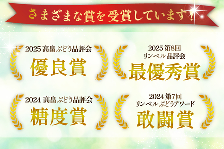 【期間限定発送】 シャインマスカット 6〜10房 満杯詰め 約4kg