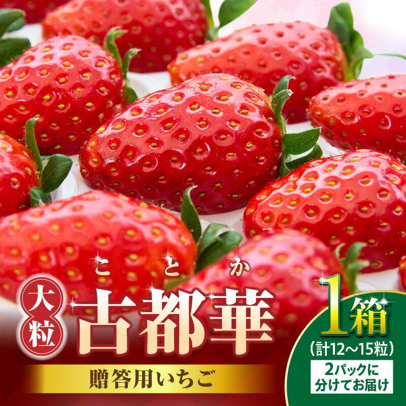 【ふるさと納税】【2026年1月上旬〜2月下旬発送】贈答用いちご【数量限定】『古都華』 いちご 数量限定 古都華 12〜15粒 化粧箱 国産 国産苺 ストロベリー 果物 果実的野菜 フルーツ デザート おやつ 糖度 濃厚 鮮やか 甘い ビタミン 奈良県産 お取り寄せ 贈答用 送料無料