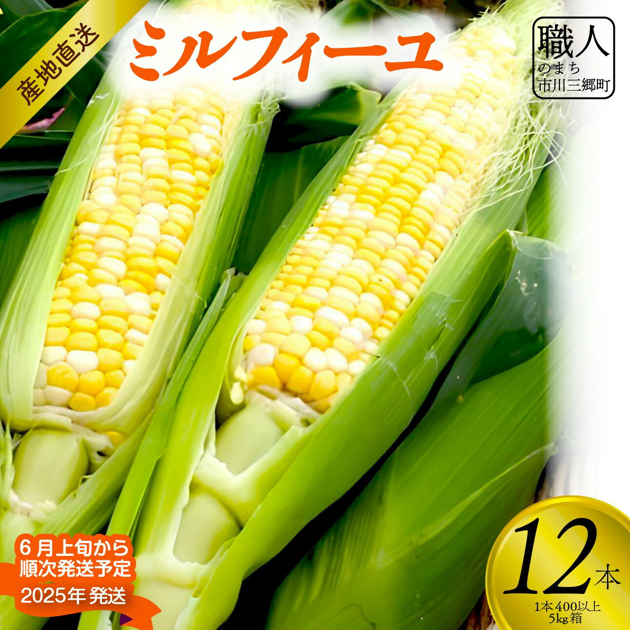 【ふるさと納税】【2025年6月上旬から発送】とうもろこし「ミルフィーユ」 12本入り 1本400g以上 5kg箱 株式会社アグリ甲斐（山梨県市川三郷町産） [5839-2213]