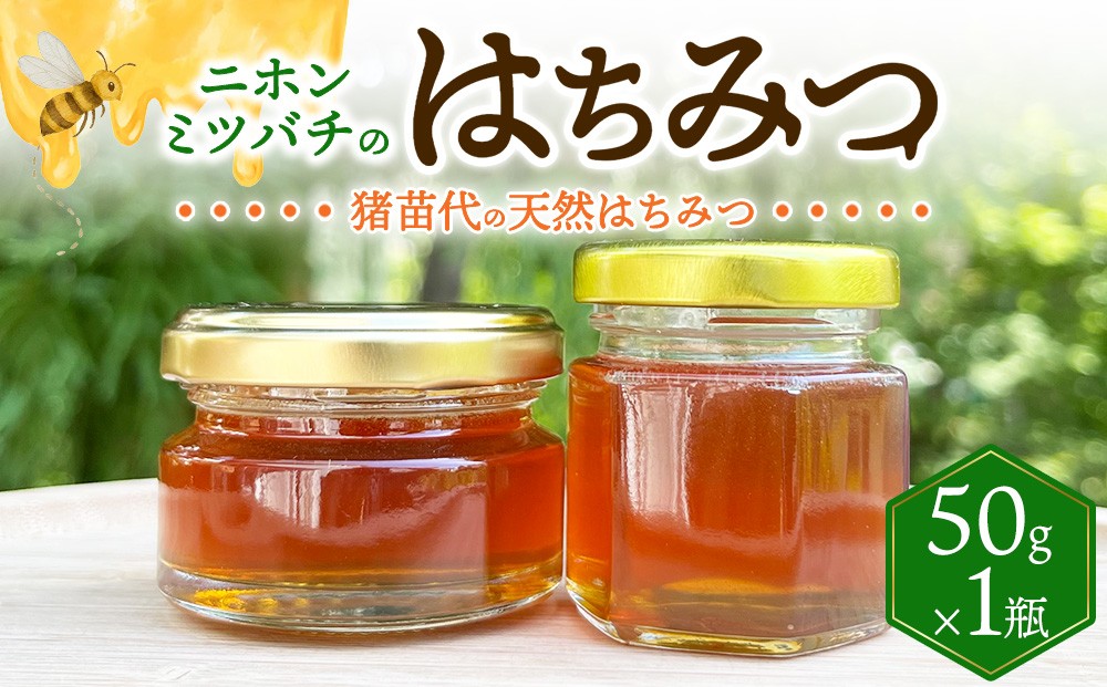 
                  ニホンミツバチのはちみつ （50g）
                