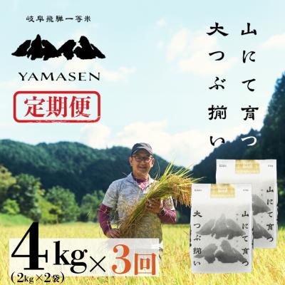 ふるさと納税 下呂市  (2026年10月から毎月発送)【2026年産】【定期便】山仙2kg×2袋×3回【51-F】
