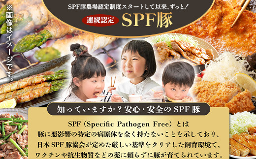 D-62 SPFプレミアムポーク芳寿豚まんぷくセット
