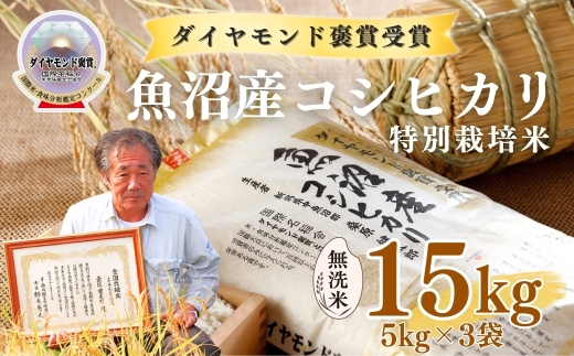 【令和8年産先行予約】魚沼産コシヒカリ 無洗米 15kg(5kg×3袋) 特別栽培米 ダイヤモンド褒賞受賞 | 新潟産コシヒカリ 新潟県産コシヒカリ 魚沼産こしひかり 米 お米 こしひかり 白米 無洗米 ブランド米 最高級 新潟県 津南町