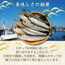 【ふるさと納税】 いわし 丸ごとイワシ 約3kg 鰯 海鮮 魚 大容量 おかず 惣菜 魚介 焼魚 魚貝 BBQ おつまみ 弁当 人気 冷凍食品 グルメ 贈答 贈物 ギフト 長期保存 小分け お取り寄せ 贈り物 お歳暮 送料無料 ふるさと納税冷凍 銚子港水揚げ 千葉県 銚子市 大一奈村魚問屋