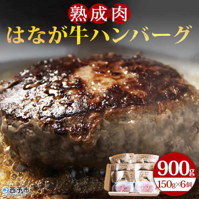 ＜熟成肉 はなが牛ハンバーグ 150g×6個 計900g＞ 牛肉 ビーフ 肉加工品 お惣菜 洋食 おかず おつまみ お弁当 国産 小分け 特産品 ゆうぼく 愛媛県 西予市【冷凍】『2か月以内に順次出荷予定』