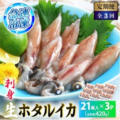 ふるさと納税 越前町 【毎月定期便】ホタルイカ(刺身・しゃぶしゃぶ用)　21尾入 × 3パック 合計約420g全3回