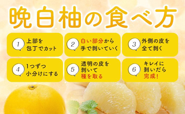 晩白柚 1玉 2Lサイズ ばんぺいゆ 熊本《1月上旬-1月末頃出荷》熊本県 氷川町 果物 フルーツ 熊本県産 晩白柚 ばんぺいゆ