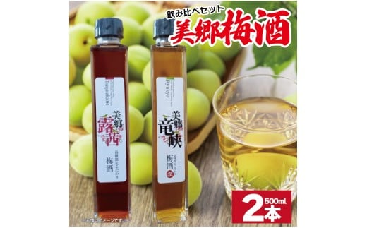 梅酒 飲み比べ 2本セット 美郷露茜 美郷竜峡  500ml 各1本 梅 ブレンド 梅酒 うめ 果物 フルーツ うめしゅ お酒 酒  果実酒 さけ ビール ハイボール チューハイ 焼酎 日本酒 ウイスキー ワイン ギフト 贈答 プレゼント 送料無料 徳島県 吉野川市