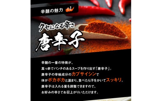 辛麺Cセット N040-YC809