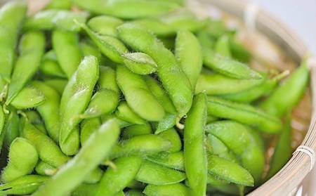 75E-18新潟県長岡産枝豆2.0kg【越一寸250g×8袋入り】