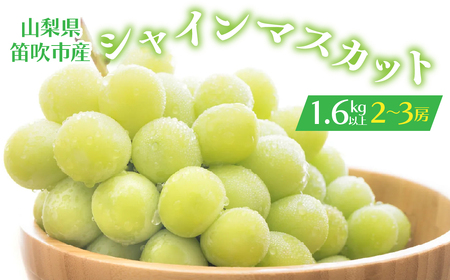 【2026年発送★先行予約】シャインマスカット 2-3房入り 1.6kg以上 1箱　164-005-26y