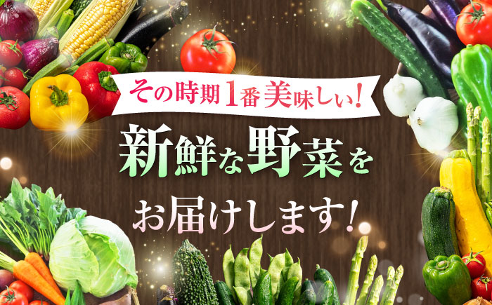 【全6回定期便】【数量限定】旬の 野菜 セット (約3kg/野菜7-8品程度) / 野菜 新鮮 旬 詰合せ セット 熊本県 菊陽町 特産品 【有限会社さんふれあ】 [BHAK025]