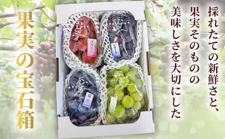 ＜西予の極上ぶどう極み彩り 約2kg＞ 果物 くだもの フルーツ ぶどう 葡萄 ブドウ 7種 詰め合わせ 食べ比べ 藤稔 瀬戸ジャイアンツ ゴルビー ピオーネ 紫玉 特産品 ファームNINOMIYA 