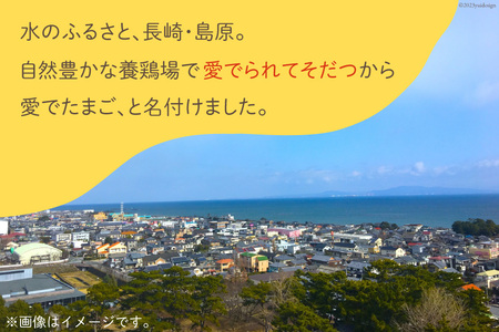 BH110 マツコの知らない世界で紹介！ 【3回定期便】愛でたまご 3種セット 30個
