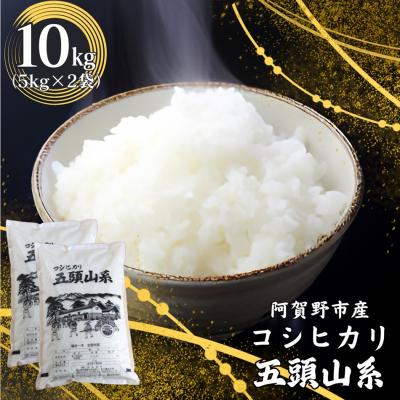 ふるさと納税 阿賀野市 【令和7年産】コシヒカリ 10kg「米屋のこだわり阿賀野市産」