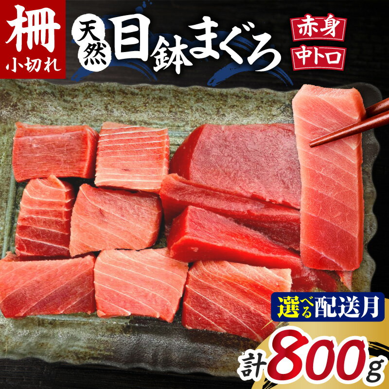【ふるさと納税】＜選べる配送時期＞ 天然 三崎まぐろ 中トロ 赤身 柵 小切れ 800g まぐろ 鮪 中トロ 赤身 メバチマグロ 刺身 柵 小切れ 天然 三崎 三崎港 海鮮 魚 魚介 母の日 父の日 敬老の日 神奈川 三浦市 おすすめ ランキング プレゼント ギフト