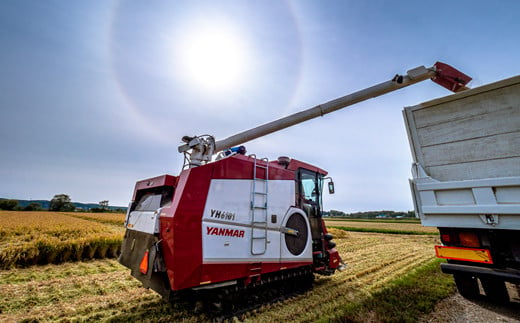 【定期便3ヶ月】ななつぼし 精米 5kg（5kg×1袋） 5月発送開始 雪冷気 籾貯蔵 雪中米 北海道 nr-0708