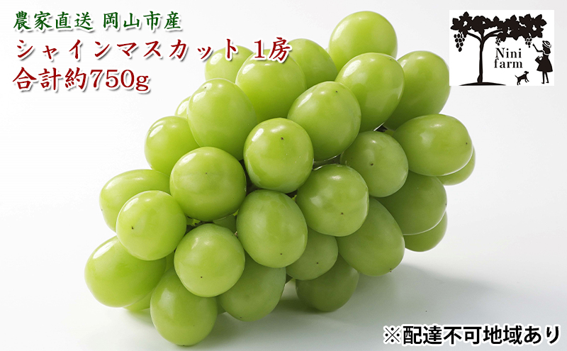 ぶどう 2025年 先行予約 【平均糖度20度】農家こだわりの 最高ランク シャイン マスカット 1房 約750g 特秀クラス ブドウ 葡萄 岡山県産 フルーツ 果物 ギフト 【 Nini farm 農家 直送 】