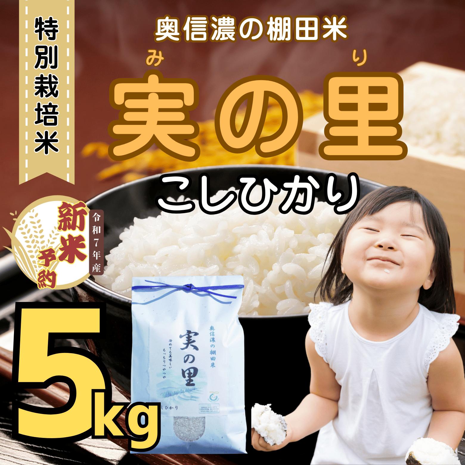 【ふるさと納税】【先行予約】 [令和7年産新米] 特別栽培米 『奥信濃の棚田米 実の里』 こしひかり 精米 5kg(7-19A)＜出荷開始：2025年9月下旬～＞【 米 コシヒカリ こしひかり 新米 予約 長野県 飯山市 ギフト プレゼント 父の日 母の日 敬老の日 お歳暮 御歳暮】