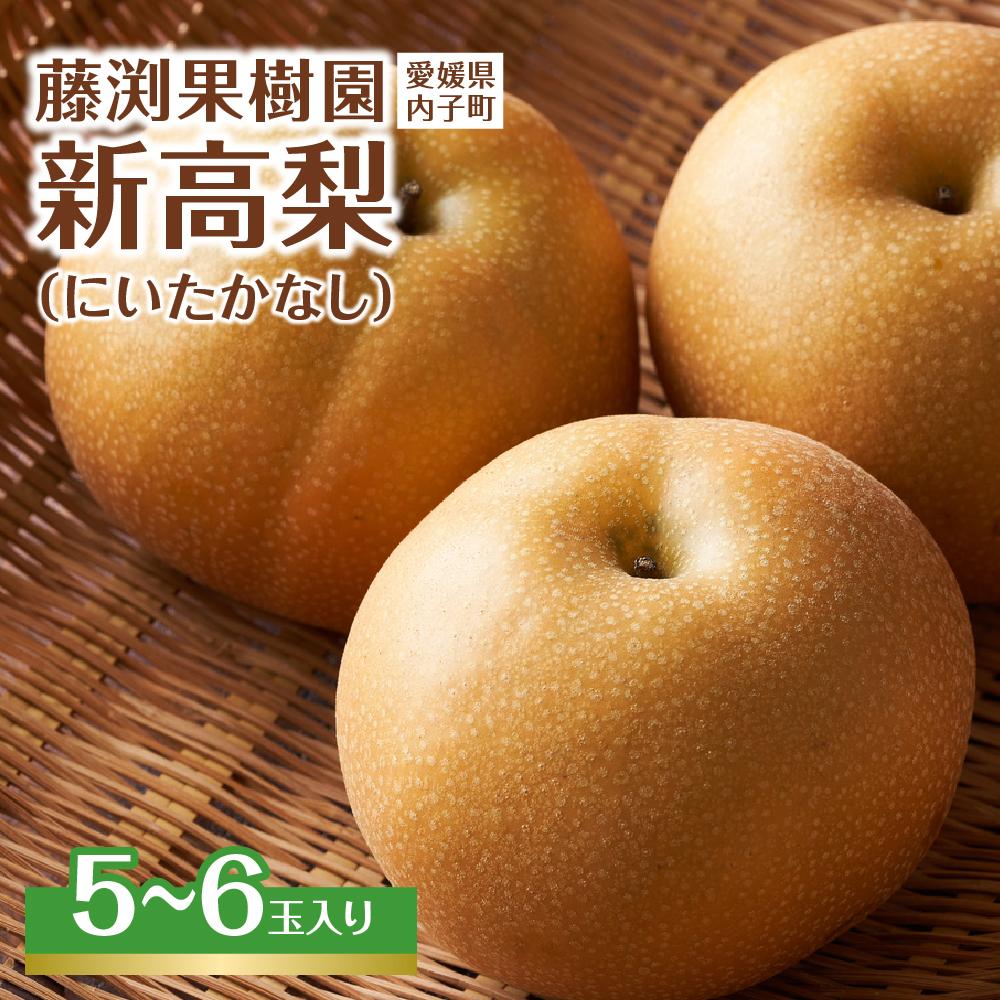 【ふるさと納税】藤渕果樹園の新高梨（にいたかなし）（2）【6～8玉入り】 | フルーツ 果物 くだもの 食品 人気 おすすめ 送料無料