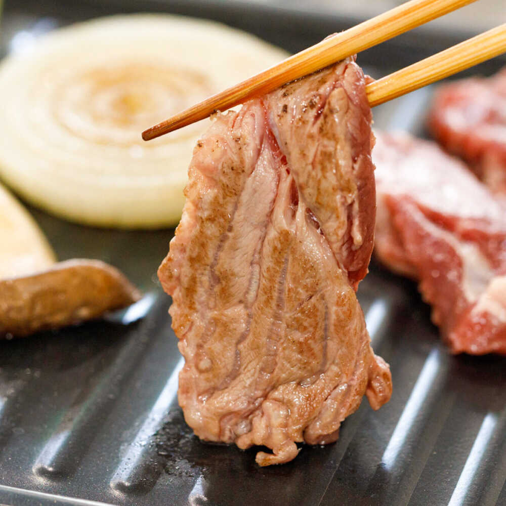 【ふるさと納税】馬肉焼肉用500gカット済 / 菊陽町 熊本県 醤油 専用 馬肉 肉 niku おつまみ 九州 冷凍【有限会社 桜屋】[BHDB008]