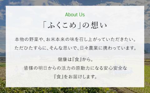 福知山産コシヒカリ『天海の郷』天空に広がる天海の郷　3kg（白米） FCCM009