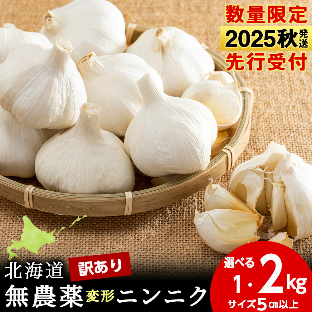 【ふるさと納税】【数量限定】訳あり無農薬変形ニンニク 選べる1kg・2kg 1袋500g 玉 変形 無農薬 にんにくガーリック北海道ふるさと納税 積丹町 ふるさと納税 北海道 野菜 にんにく 北海道産 大蒜