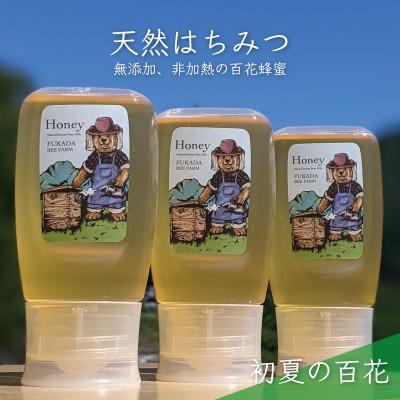 ふるさと納税 美濃市 合計900g 深田養蜂の天然蜂蜜 国産蜂蜜 非加熱 生蜂蜜 岐阜県 美濃市産 初夏 B11