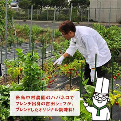 ふるさと納税 糸島市 浅漬けの素ハバネロしょうゆ 200ml【シェフのごはんやさん四季彩】[ACC006] |  | 03
