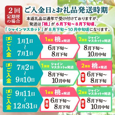 ふるさと納税 山梨市 【発送月固定定期便】2026年発送 山梨フルーツ旬の果物 桃+シャインマスカット 全2回 |  | 03