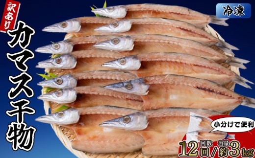 カマスの干物 15袋（約30尾）【12回分】