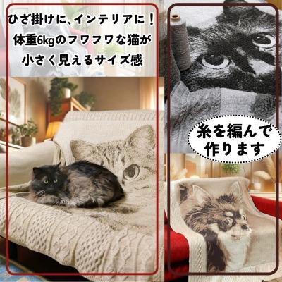 ふるさと納税 八頭町 ペットオーダーメイドニット ノスタルジックニットラグ 160cm×100cm |  | 03