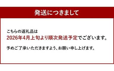 福岡県産 濃厚あまおう ジェラート 1000ml 苺 いちご あまおう アイス 国産【2026年4月上旬より順次発送予定】