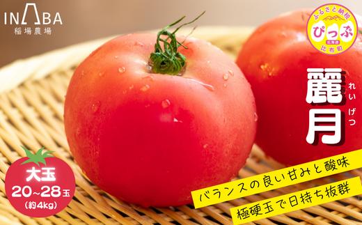 
            「麗月」れいげつ 大玉 20～28玉 約4kg【稲場農場】トマト とまと 野菜 甘み 酸味 濃厚 ジューシー 産地直送 北海道 比布町 ぴっぷ 1024-002
          