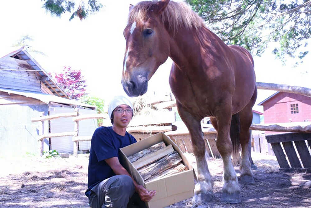 【ふるさと納税】【全6回定期便】乾燥 ナラ薪 100kg 20kg×5箱 計 600kg 《厚真町》【西埜馬搬】 薪 まき 薪ストーブ 燃料 木材 ストーブ キャンプ 北海道 定期便 [AXBE008]