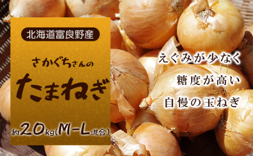 【北海道富良野産】さかぐちさんのたまねぎ 約20kg（M-Lサイズ混合）野菜 新鮮 直送 道産 ふらの 玉ねぎ 送料無料 数量限定 先着順