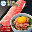 【ふるさと納税】本鮪 大トロ500g ネギトロ400g(200g×2) ねぎとろ マグロ まぐろ 大とろ 本まぐろ 天然 刺身 刺し身 魚 海鮮 魚介 海鮮丼 ネギトロ丼 お寿司 おかず おつまみ 惣菜 簡単 時短 おいしい 冷凍 配送 高知県 高知 土佐市 ふるさとのうぜい 故郷納税 返礼品