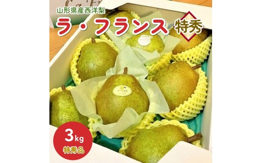 【山形セレクション認定品】西洋梨（ラ・フランス）３ｋｇ　特秀品　0010-2604